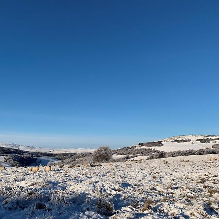 Grantown-on-Spey West Gortonヴィラ エクステリア 写真